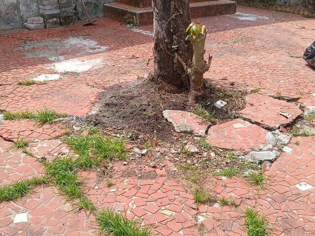 Casa para Venda em Santos - 4